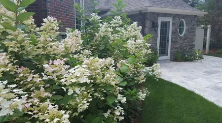 Distinctive Landscaping, Inc. researched project photo