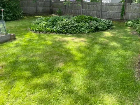 Beautiful Landscaping and Greenery