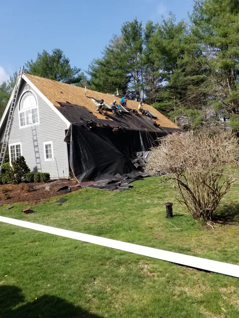 ProMaster Roofing