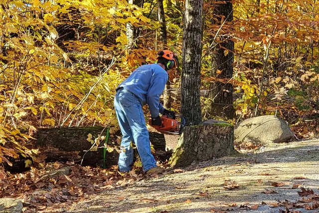 work photo from duboistreeservices.com
