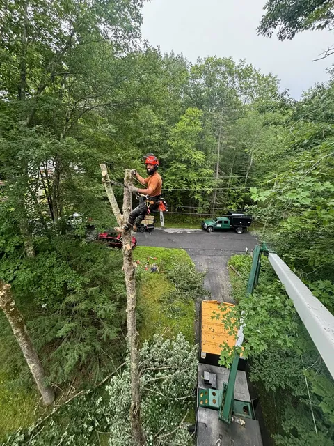 work photo from bowdoinboys.com