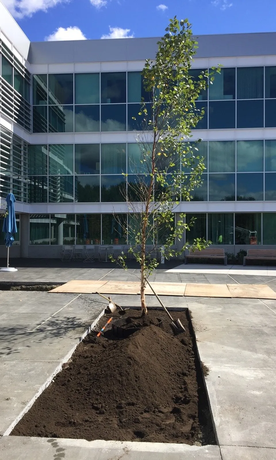 work photo from Google listing