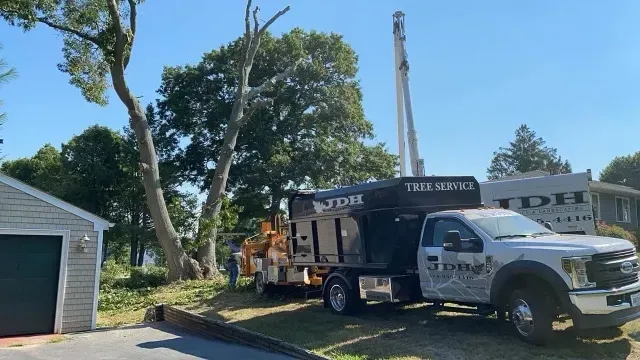 work photo from jdhtreeandlandscaping.com