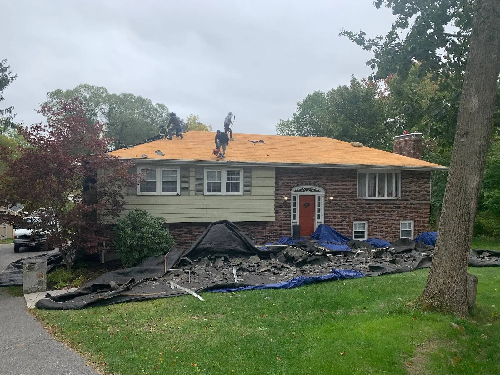 Roof Replacement