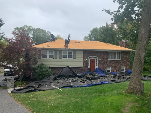 Roof Replacement