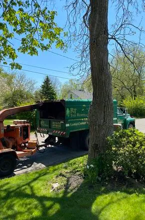 work photo from rttreeremoval.com