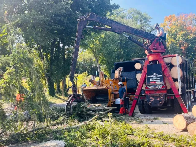 Tree trimming crew using heavy machinery to cut down tree branches on a sunny day.