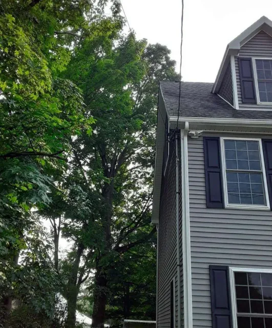 House exterior with trees and power line