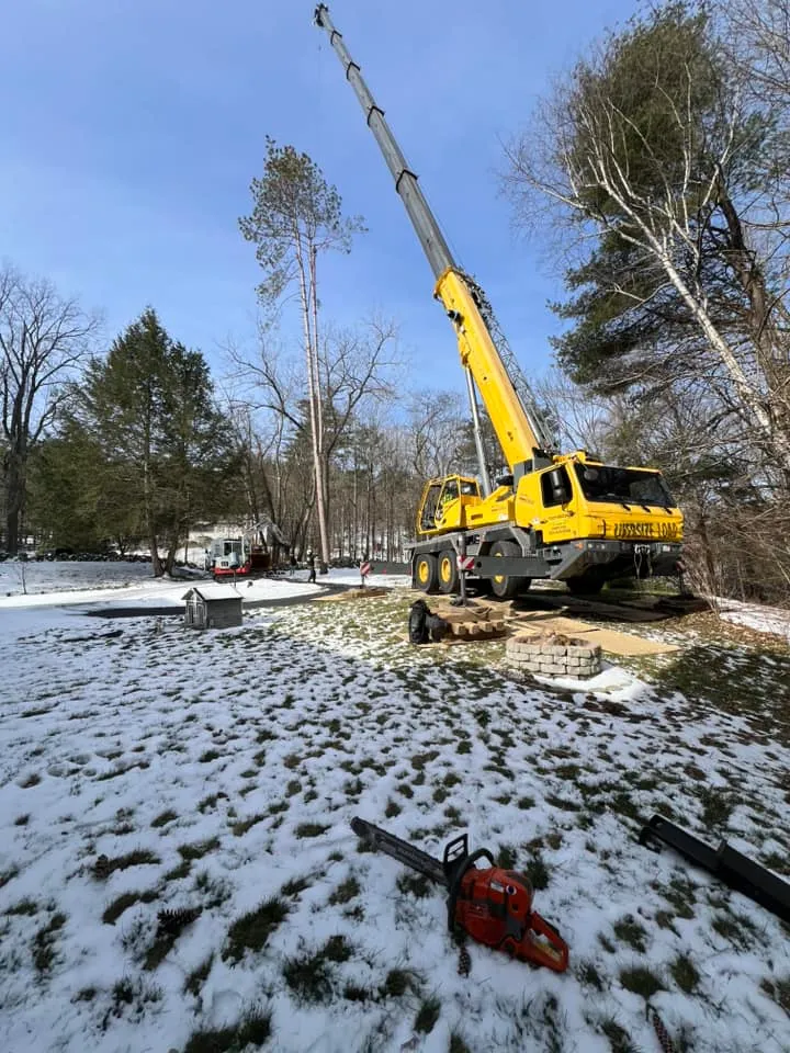 work photo from technicaltreeservice.com