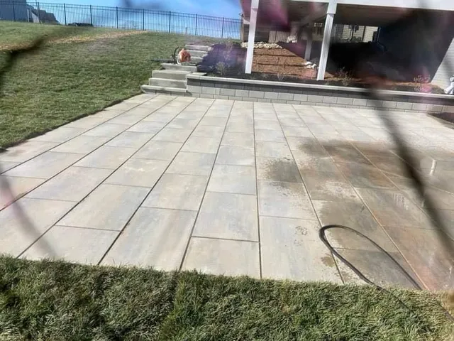 work photo from palmertreeservice.com