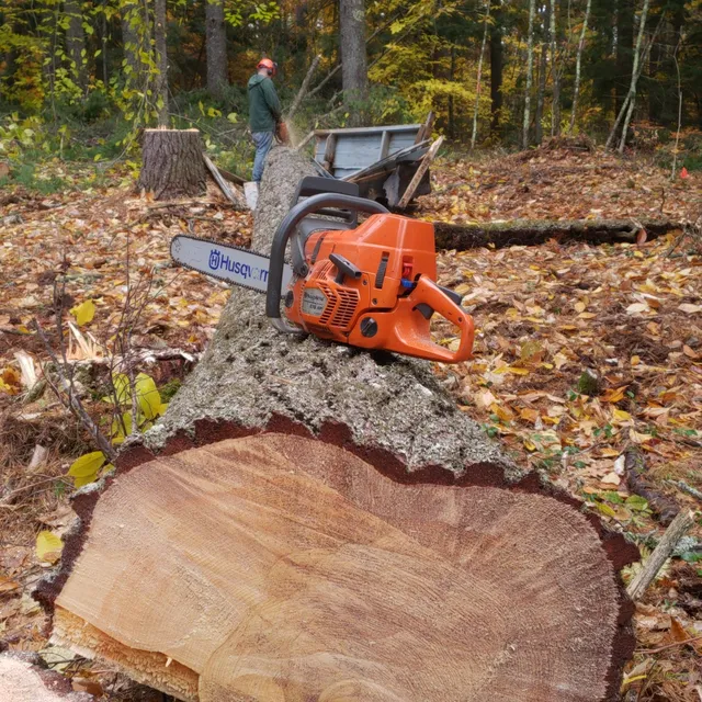 work photo from mccabeloggingandtreeservice.com