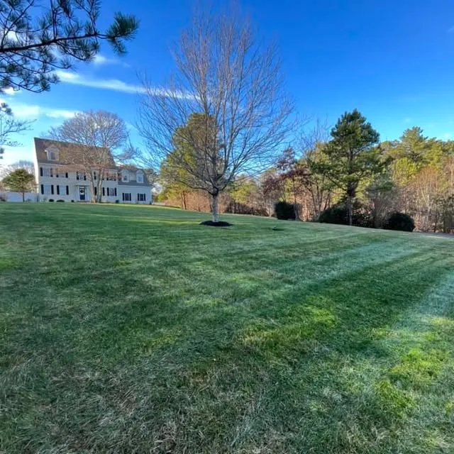 work photo from lawnsharklandscapingma.com