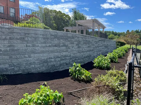 Terraced Landscape