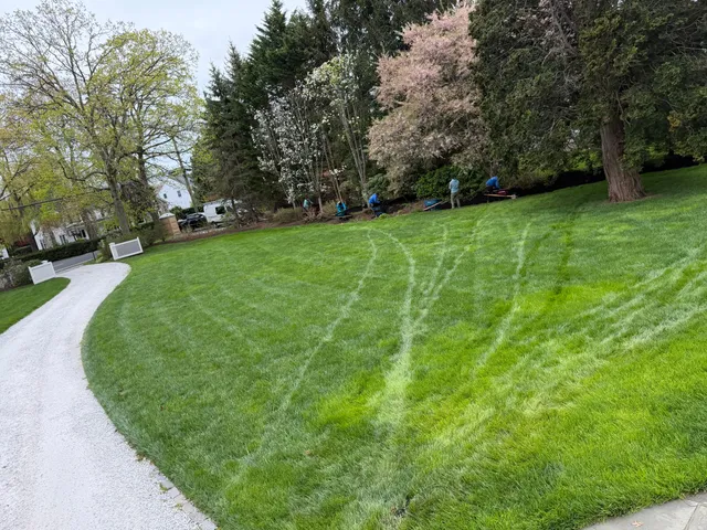 greenow Landscaping work photo