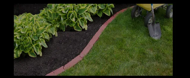 Tending the Garden