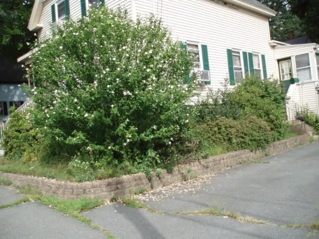 work photo from randalllandscaping.com