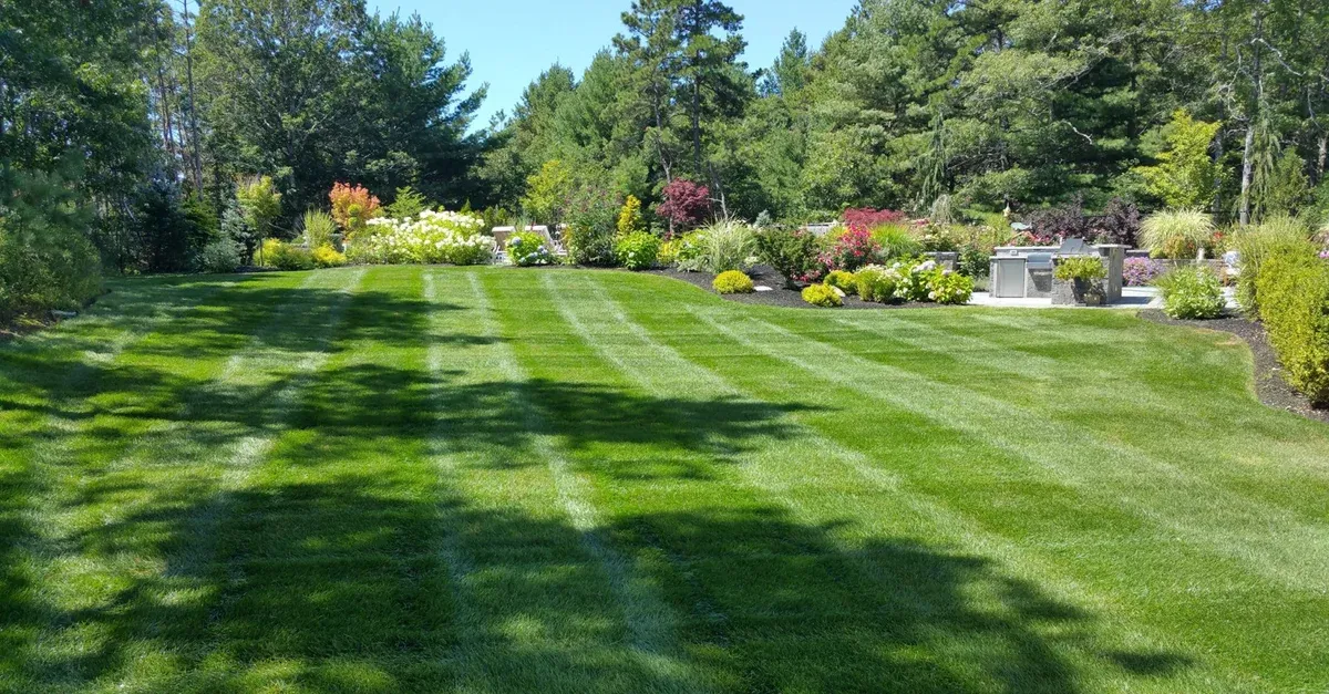 Burgess Landscape Group researched project photo