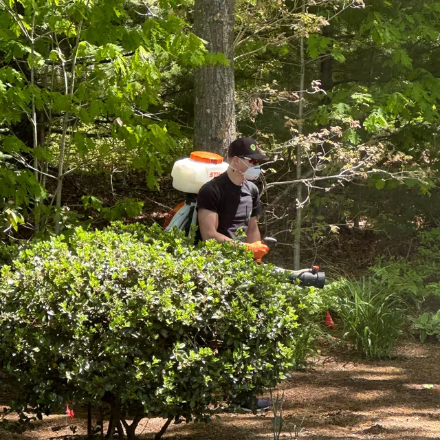 M&T Pest Control work photo