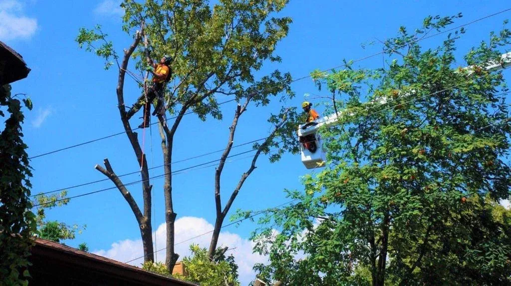 work photo from jimmymasonrylandscaping.com