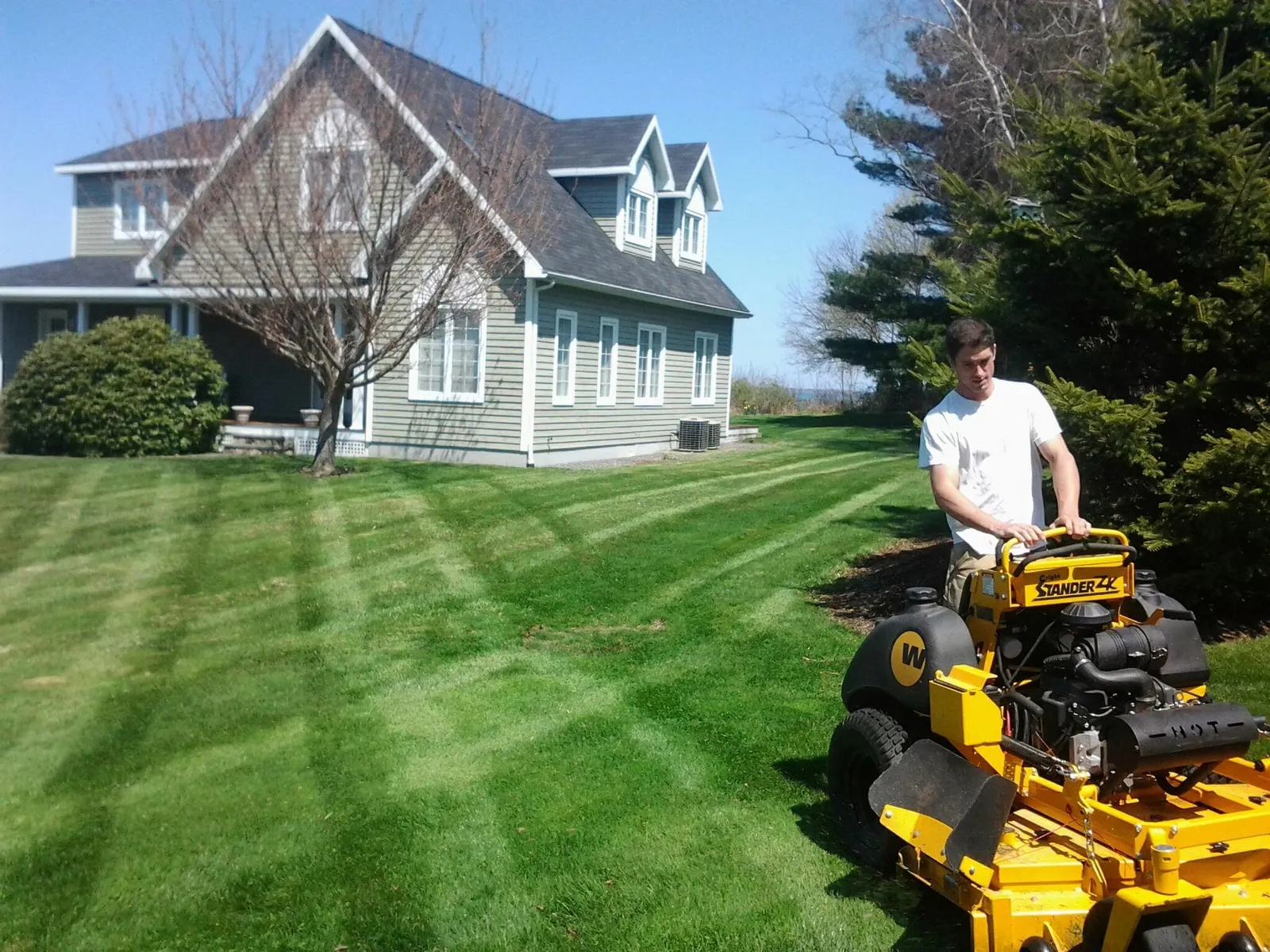 work photo from Google listing