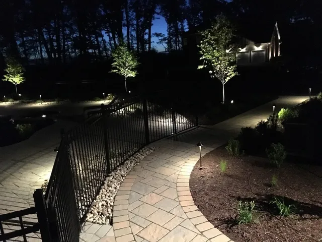 Backyard in the evening