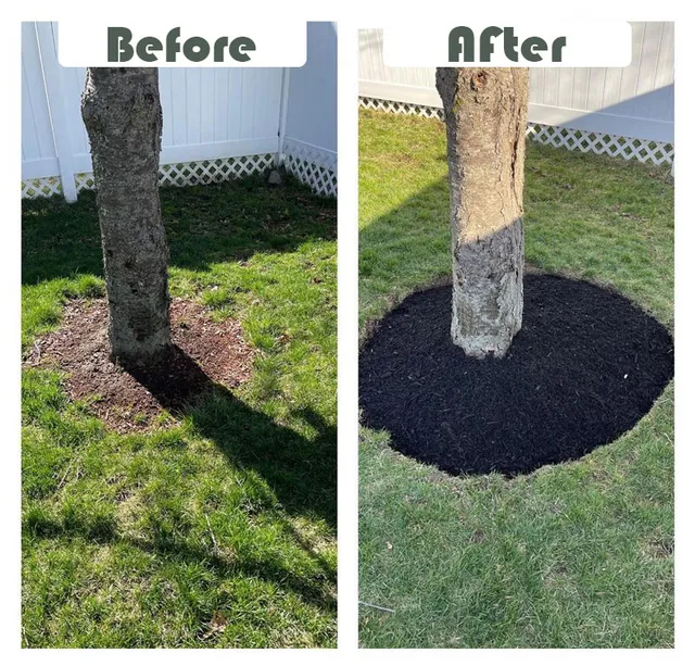 work photo from progreenlandscapingma.com