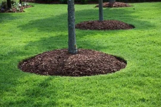 David Sauro Landscaping Inc researched project photo