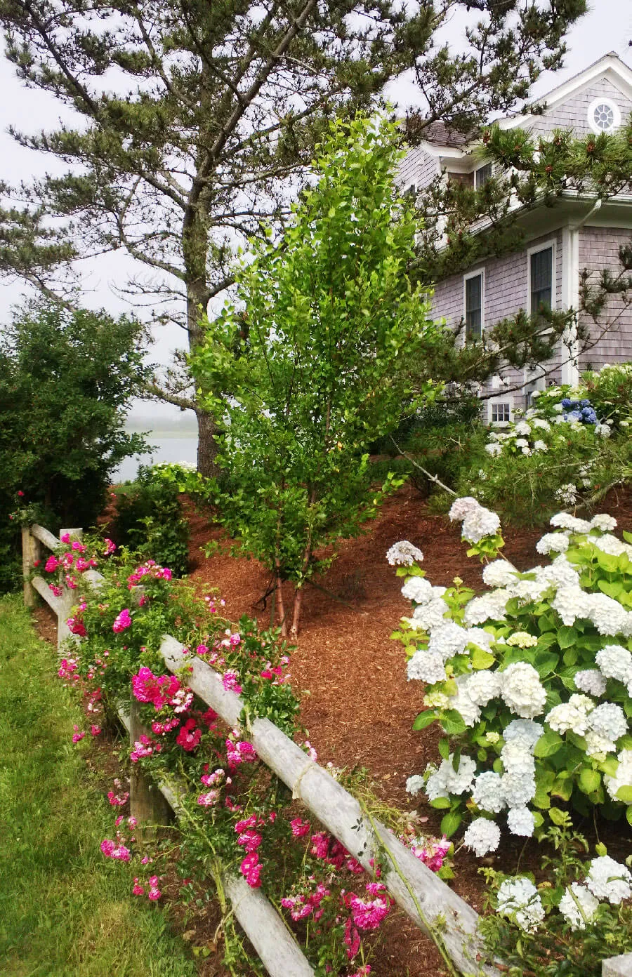 work photo from rbcapecod.com