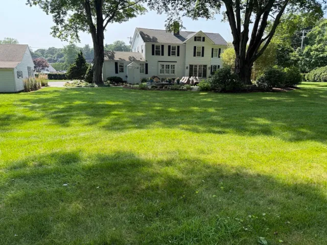 A large green lawn with trees and a white house with black shutters in the background, along with a small white shed on the left.