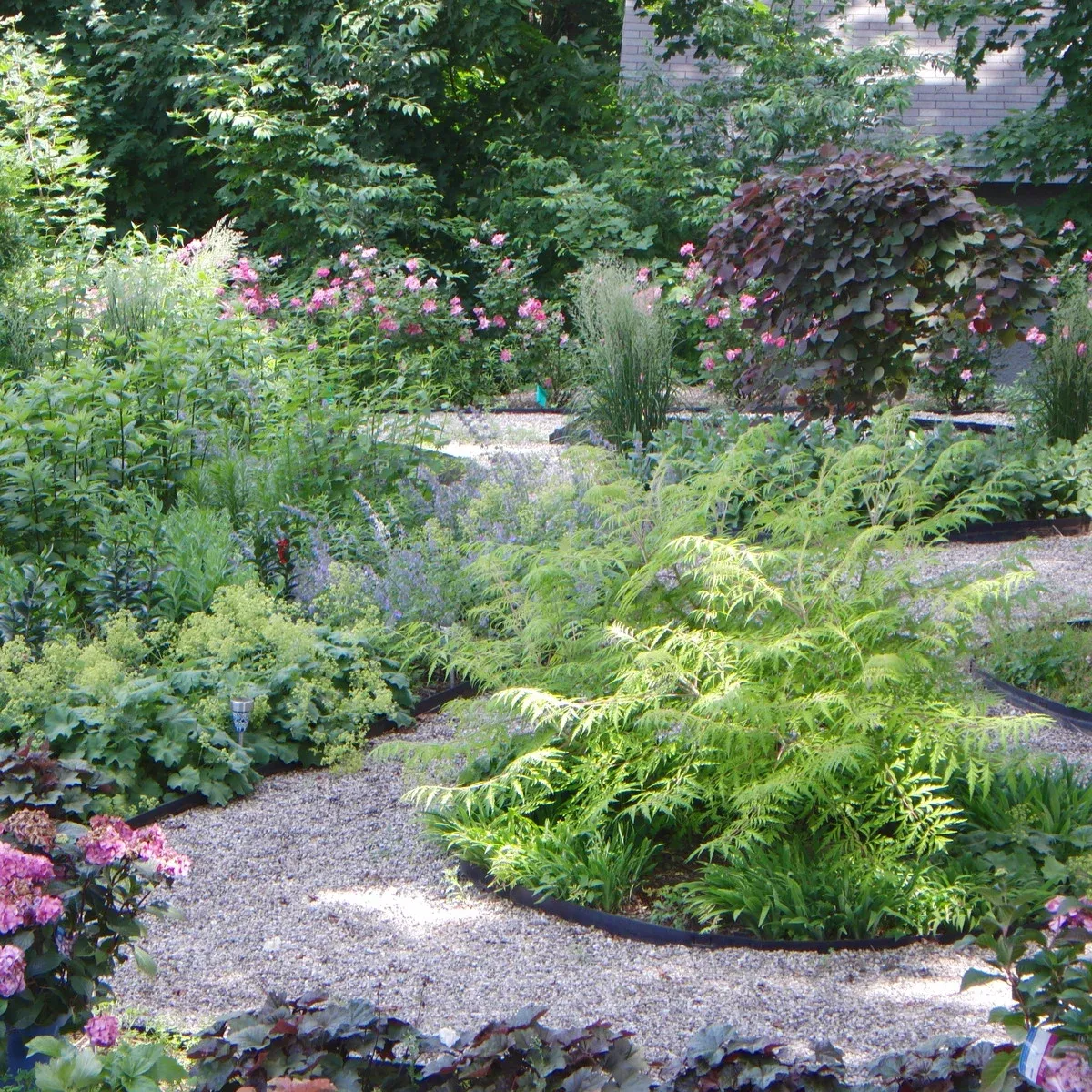 Victoria D. Hibbard Landscape Architect LLC researched project photo