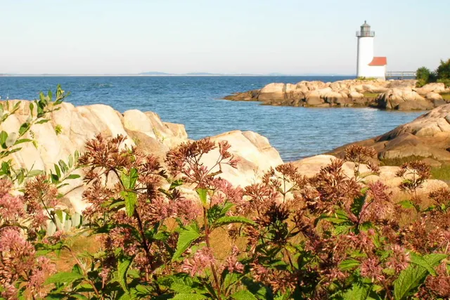 Annisquam Landcare, Inc.