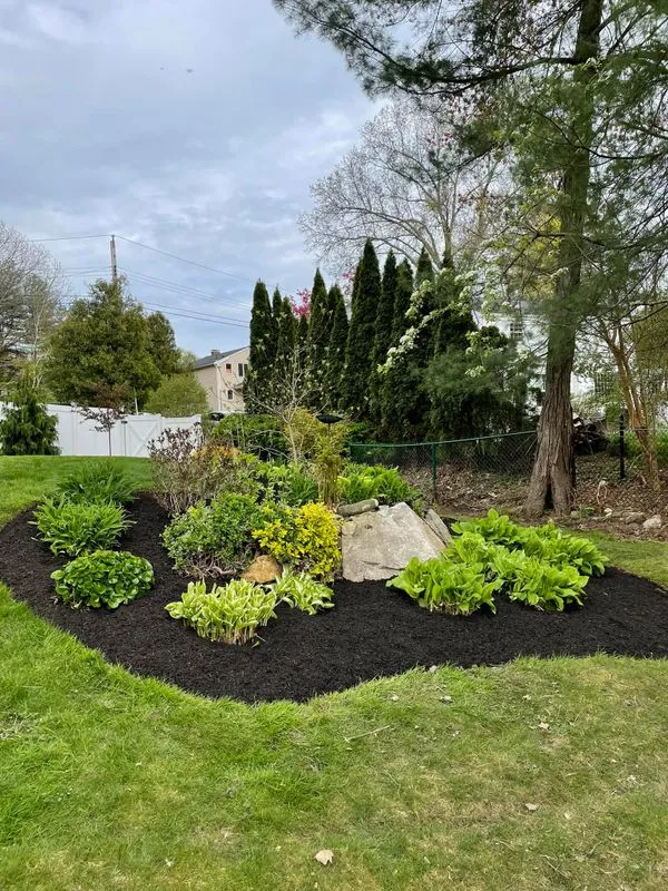 Shrub Trimming