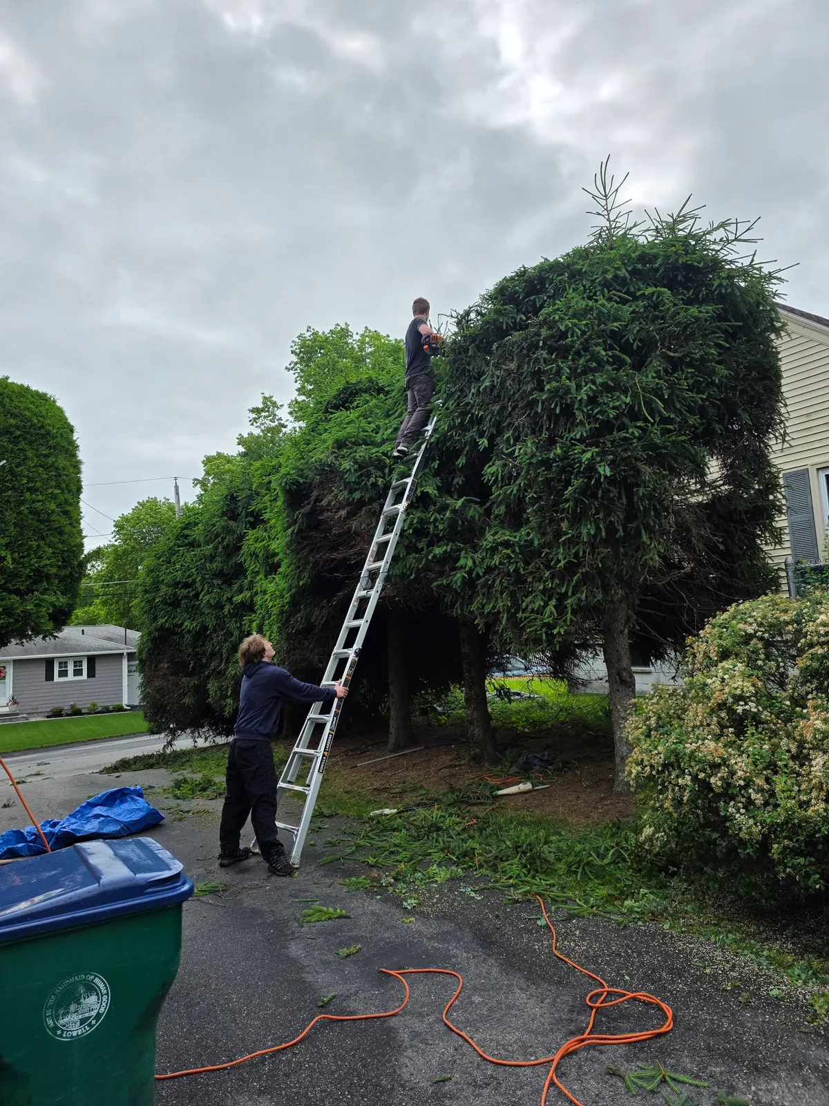 work photo from Google listing