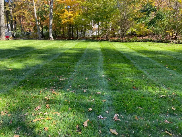 Diamond Cut Landscaping work photo