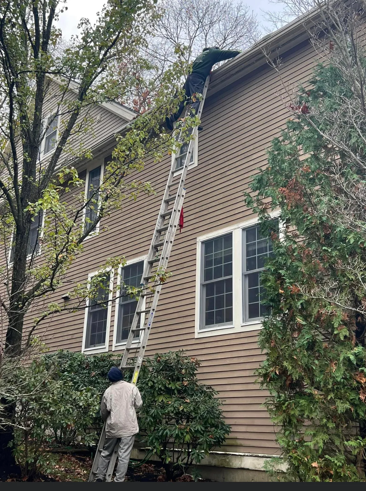 work photo from Google listing