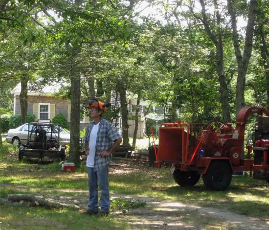 work photo from capecodtreeservices.com