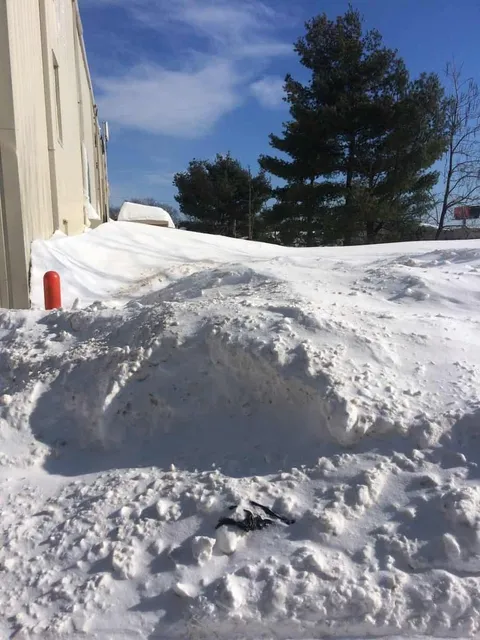 work photo from randalllandscaping.com