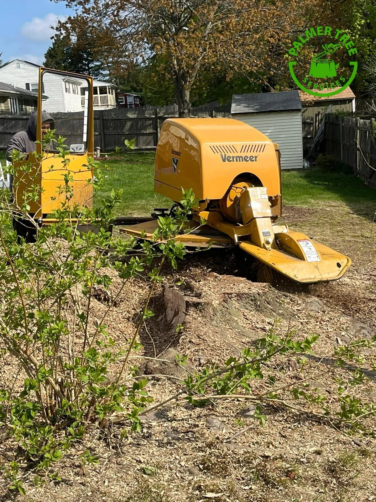 work photo from palmertreeservice.com