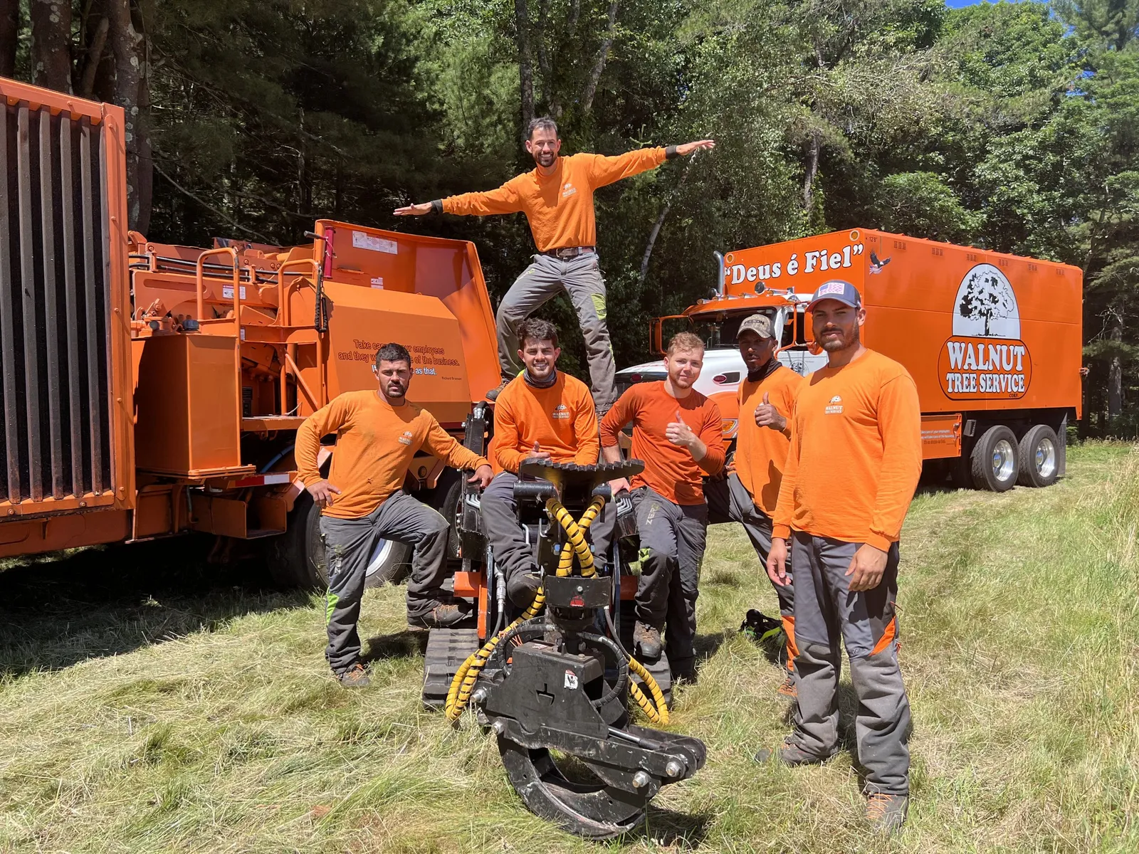 work photo from walnuttreeservice.com