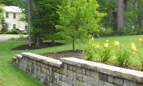 Matt's Landscaping work photo