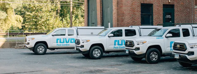 Ruva Pest Control Foxborough researched project photo