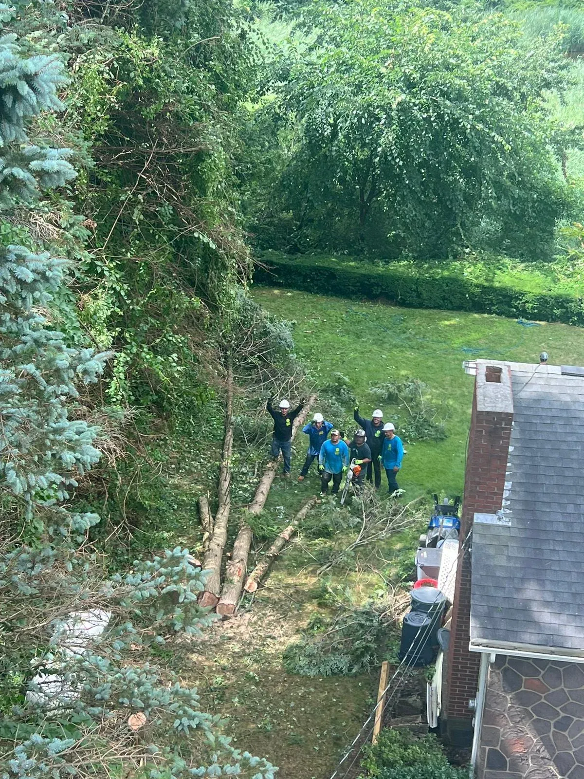 work photo from niztreeservicescorpsalen.com
