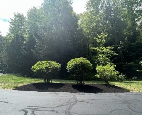 work photo from limitlesslawn.com