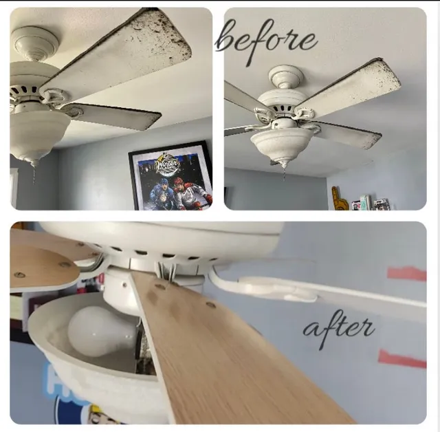 Vanuze's Cleaning researched project photo