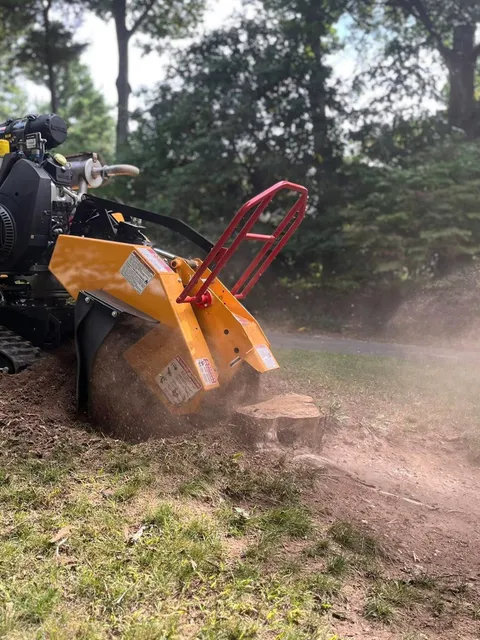 work photo from treeservicekingston.net