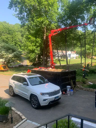 Review photo by dzemal ganic