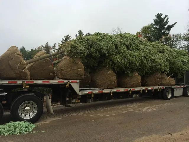 work photo from randalllandscaping.com