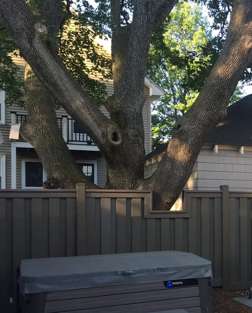 Amazing Fence