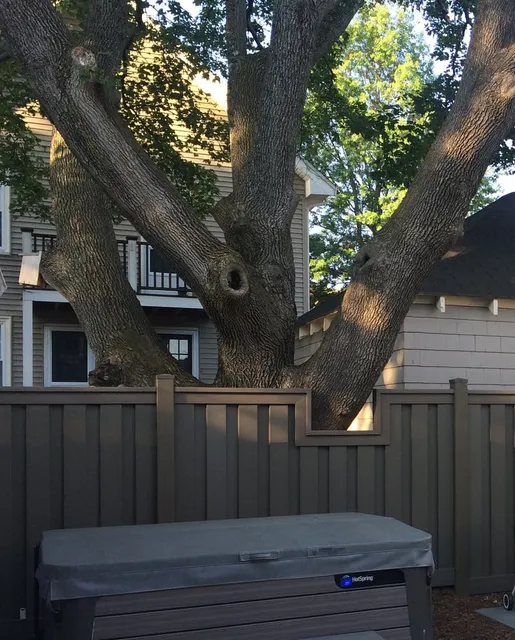 Amazing Fence