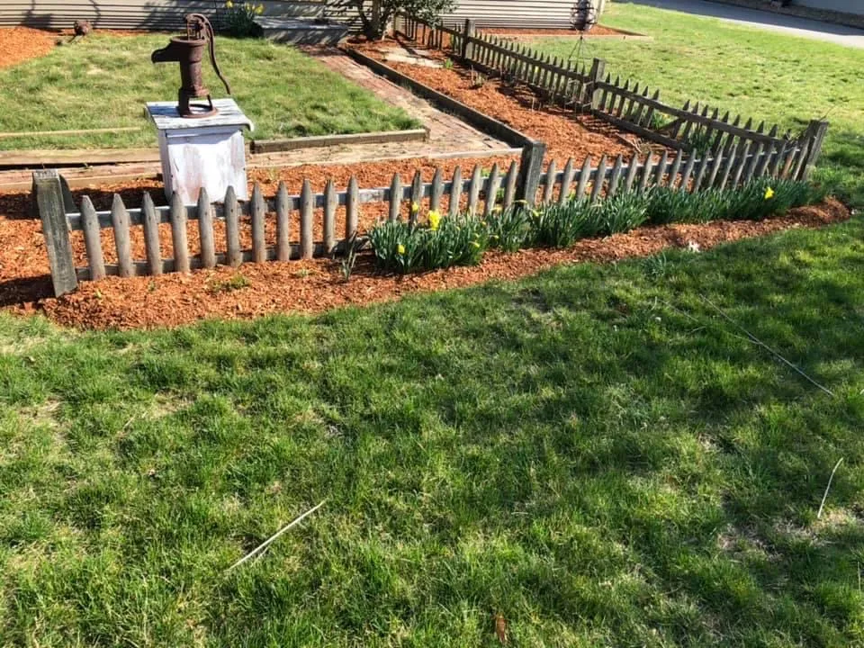 Affordable Lawn Care